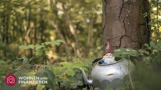 Ein bewachsenes Waldgrundstück