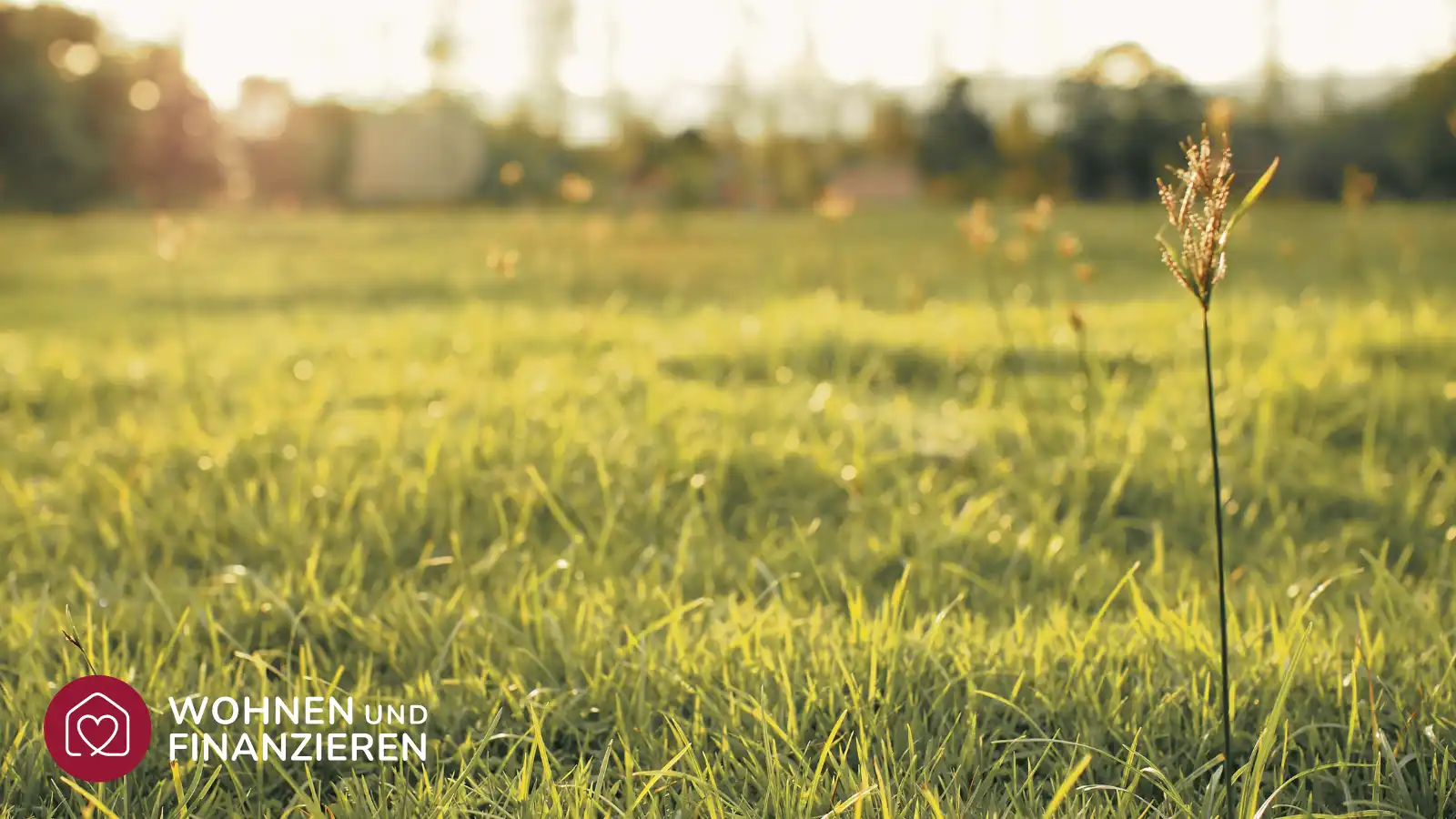 Erbbaurecht Wann Lohnt Sich Ein Erbbaugrundst ck 