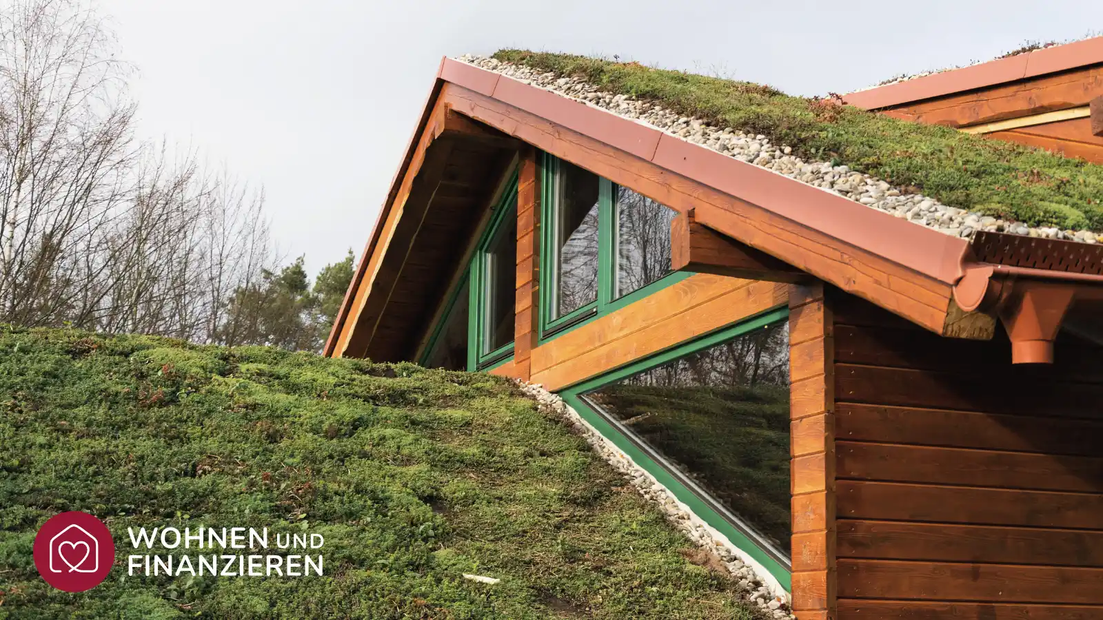 Warum Eine Dachbegr nung kologisch Und Finanziell Sinnvoll Ist