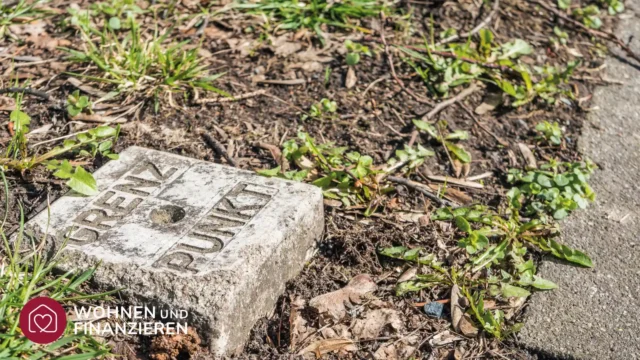 Grenzpunkt aus Stein auf einer Wiese